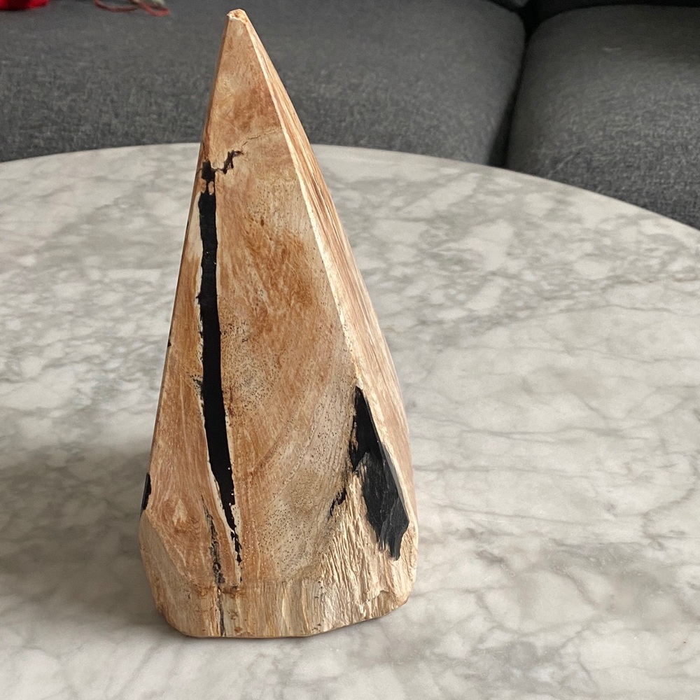 CB2 Petrified Wood Sculpture